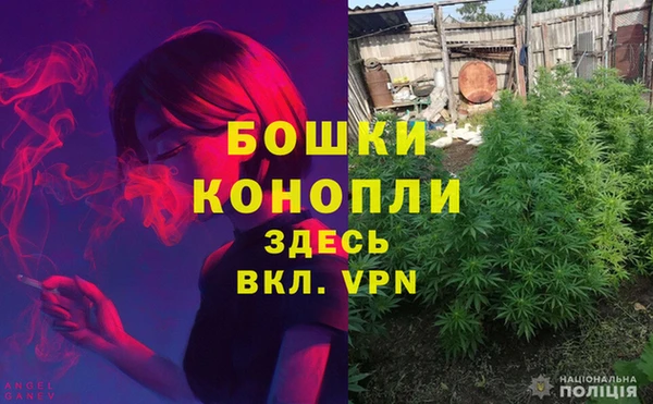 молекула духа Волосово