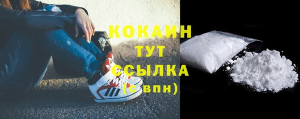 молекула духа Волосово